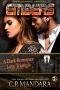 [Special Agent BDSM 05] • Embers